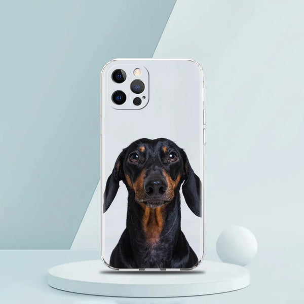 Cute Sausage Dog Case